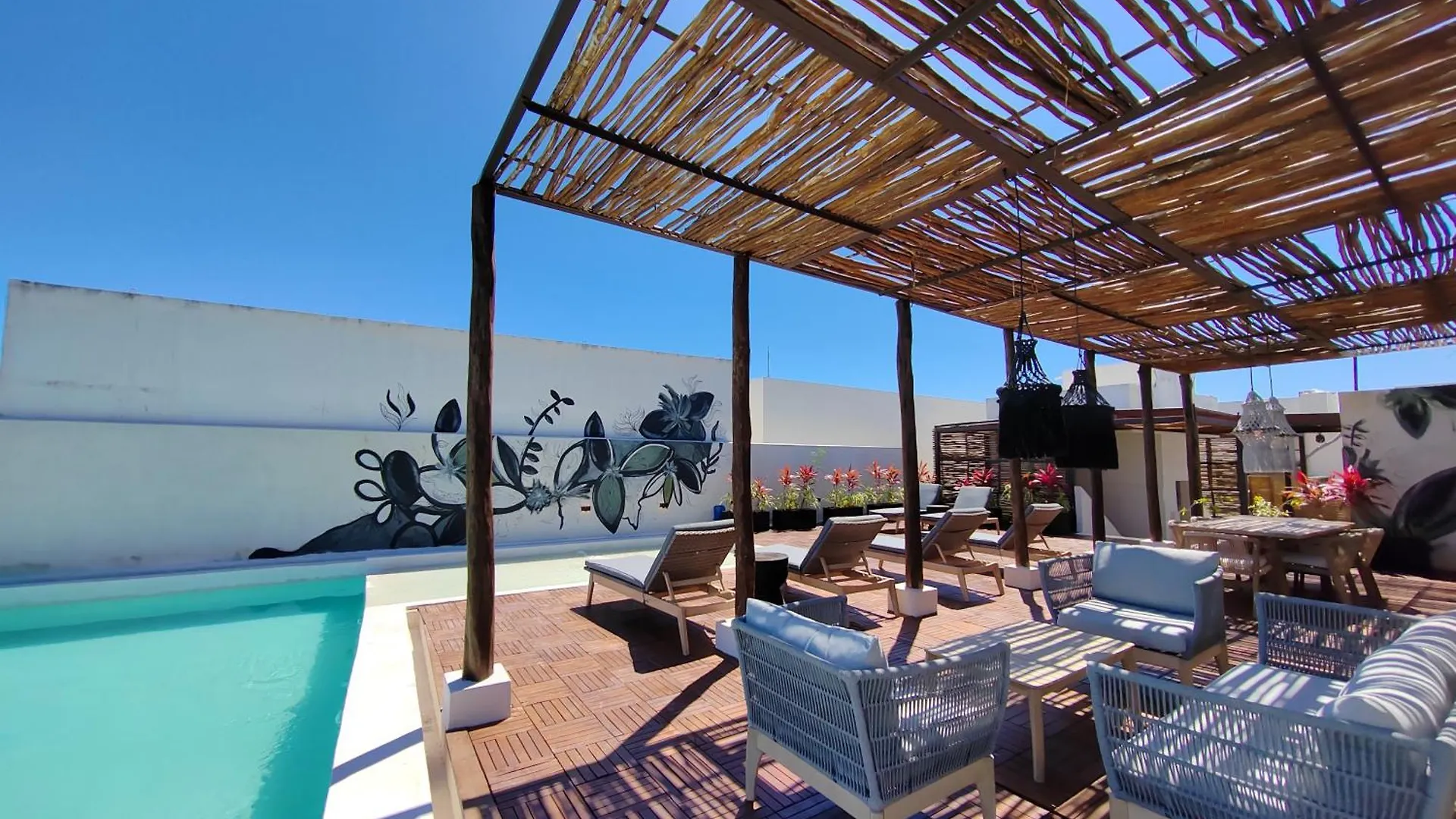 New! Hermosos Apartamentos En Excelente Zona De Playa Del Carmen By Yeah Mexico